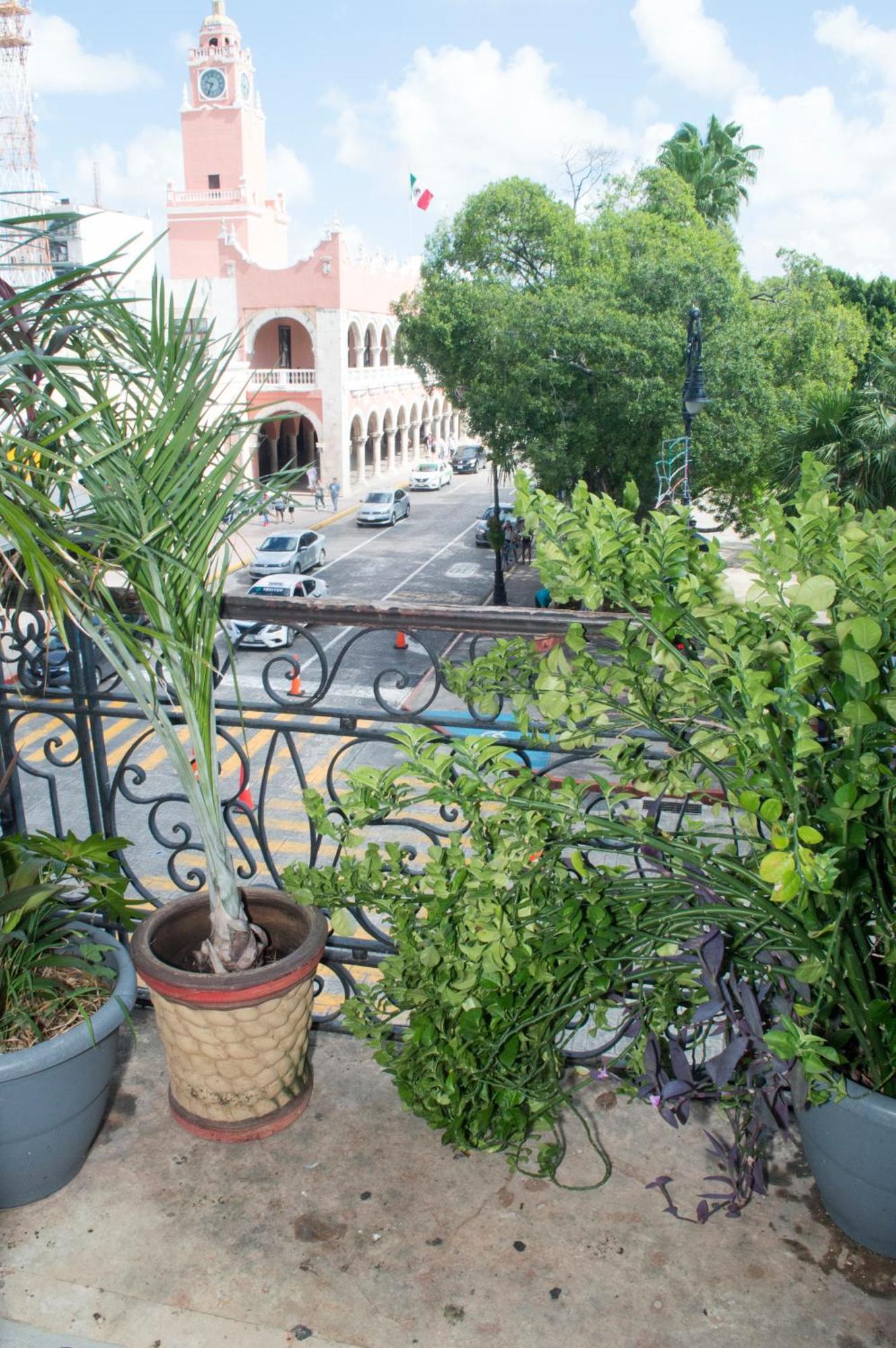 Hotel Hostal Zocalo Mérida Exteriér fotografie